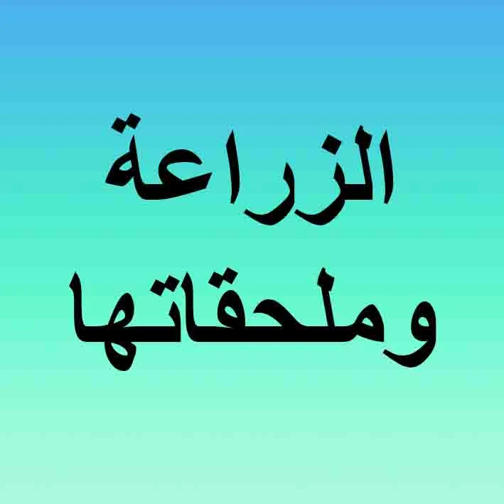 Implant & Surgery